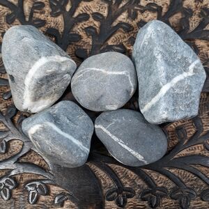 5 Banded Stones East Coast Beach Rocks Raw Rough Mineral Specimens Gray White